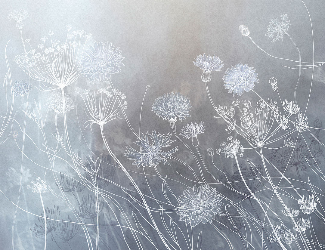 Watercolour wildflowers wall mural on the grey-blue background
