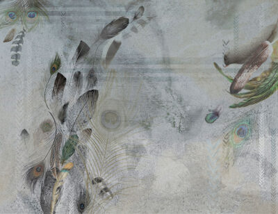 Peacock feathers dark wall mural