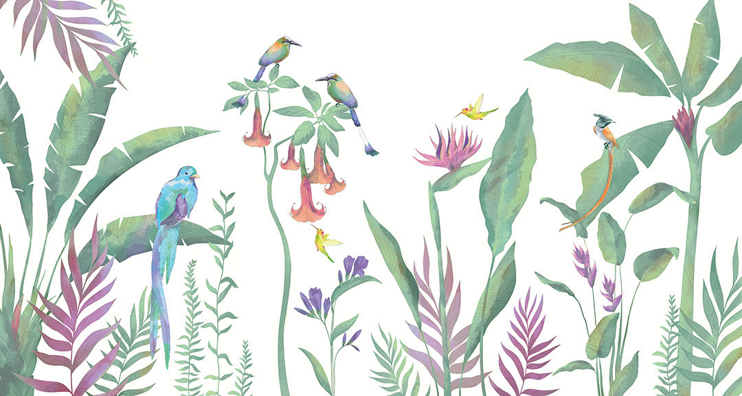 Minimalist tropics wall mural with bright birds