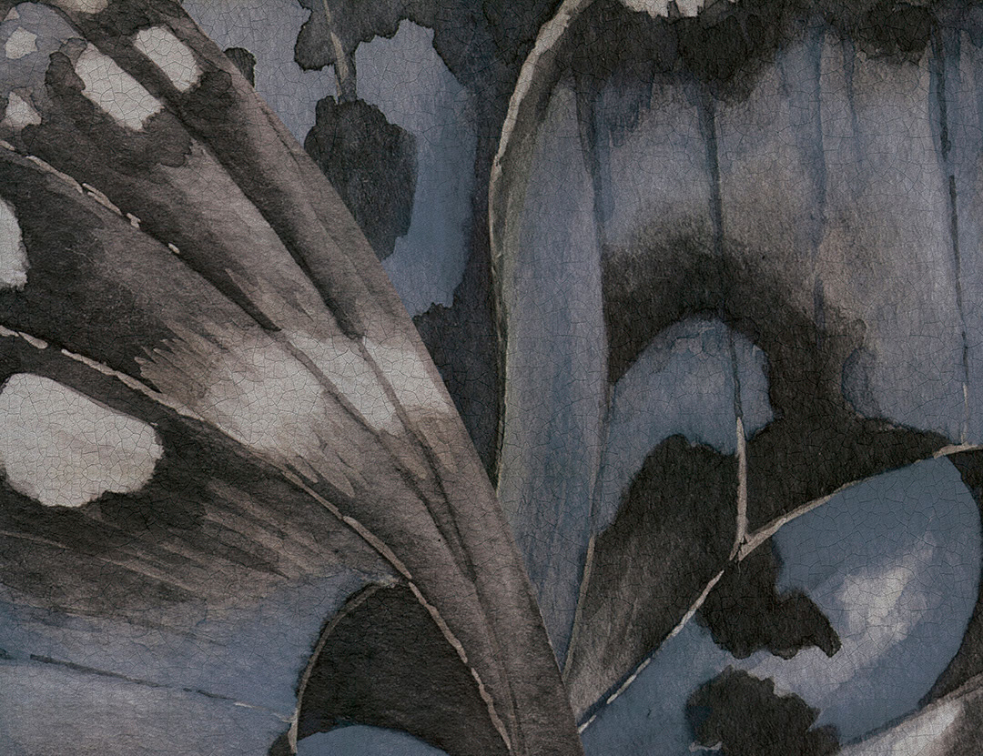 Butterfly wings texture wall mural in blue and grey tones