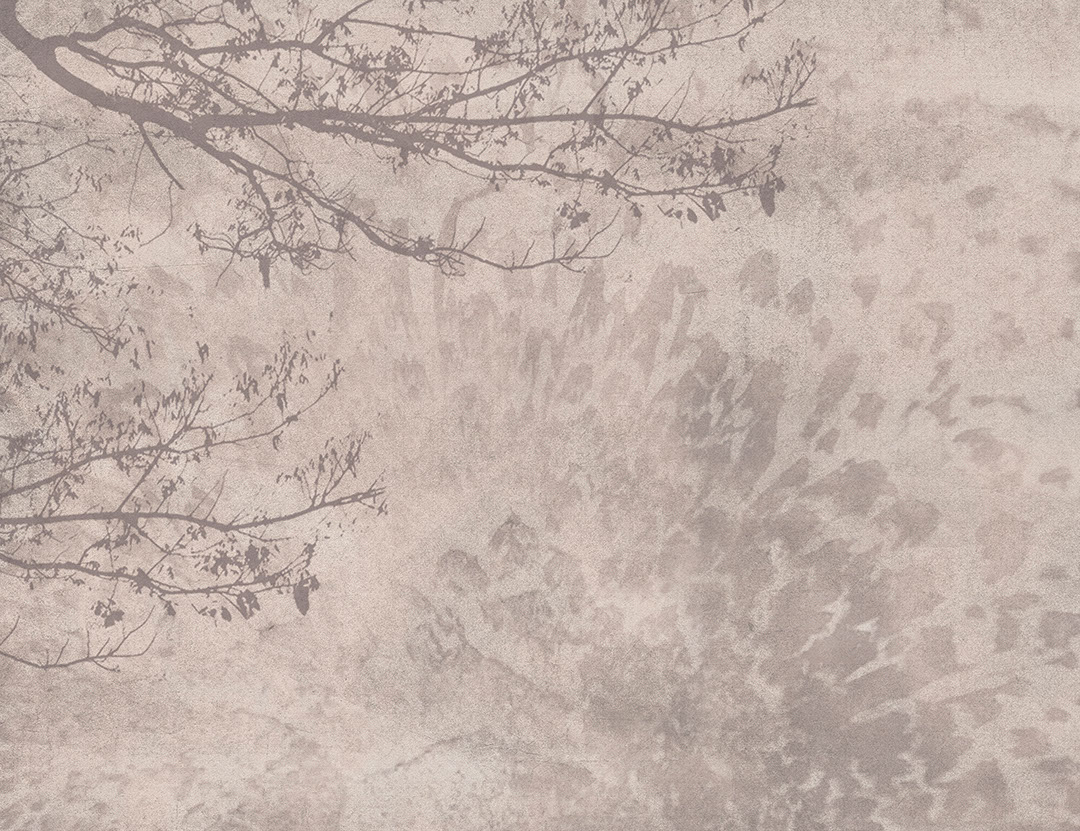 Shadow of a tree on the beige textured background wall mural