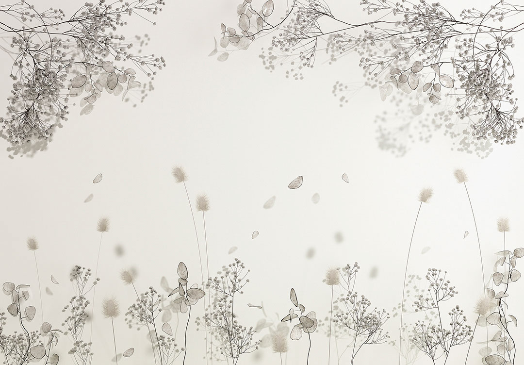 Delicate dried flowers on the white background wall mural with 3D effect