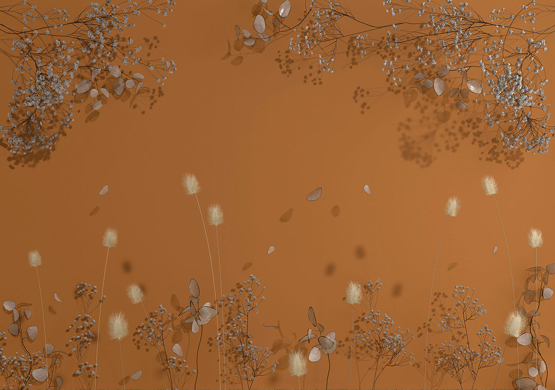 Delicate dried flowers on the orange background wall mural with 3D effect