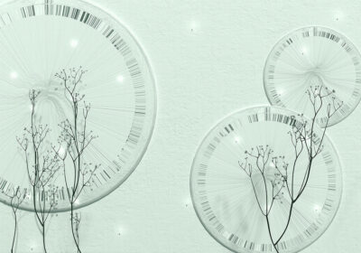 Delicate branches and 3D geometric shapes wall mural in blue tones