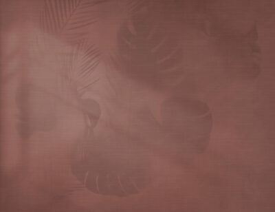 Shadow of monstera leaves wall mural in burgundy colour