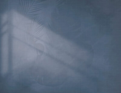 Shadow of monstera leaves wall mural in blue colour