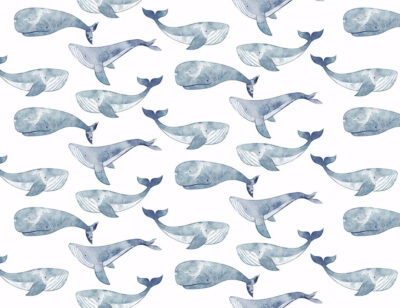 Delicate blue watercolour whales patterned wallpaper