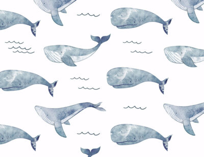 Big blue watercolour whales and waves patterned wallpaper