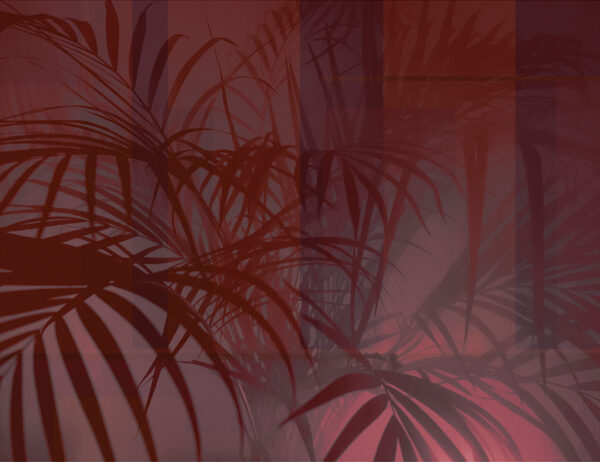 Shadows of tropical leaves in red colours wall mural