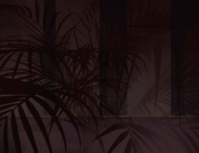 Shadows of tropical leaves in burgundy colours wall mural