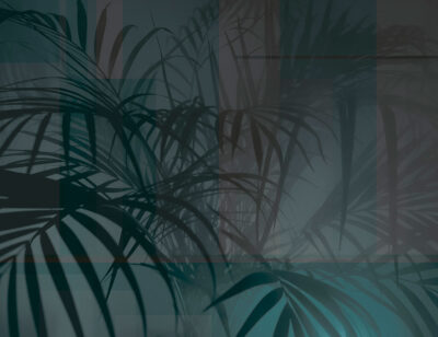 Shadows of tropical leaves in green and purple colours wall mural
