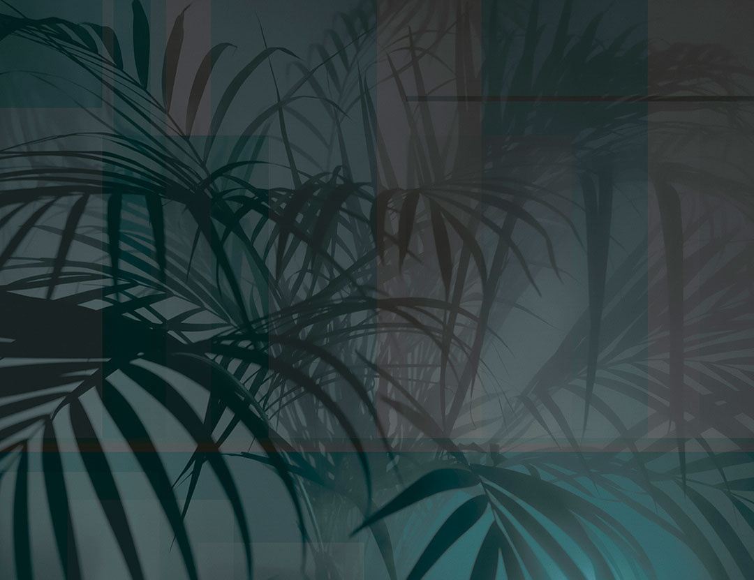 Shadows of tropical leaves in green and purple colours wall mural