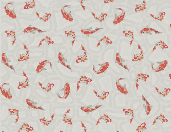 Red Japanese koi carp at the grey background patterned wallpaper