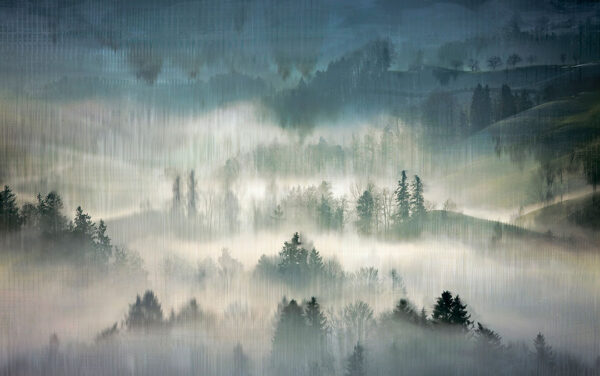 Watercolour gradient misty forest wall mural