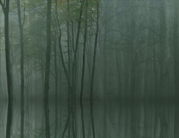 Mysterious dark forest wall mural