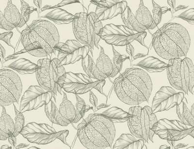 Tender green physalis flowers wallpaper