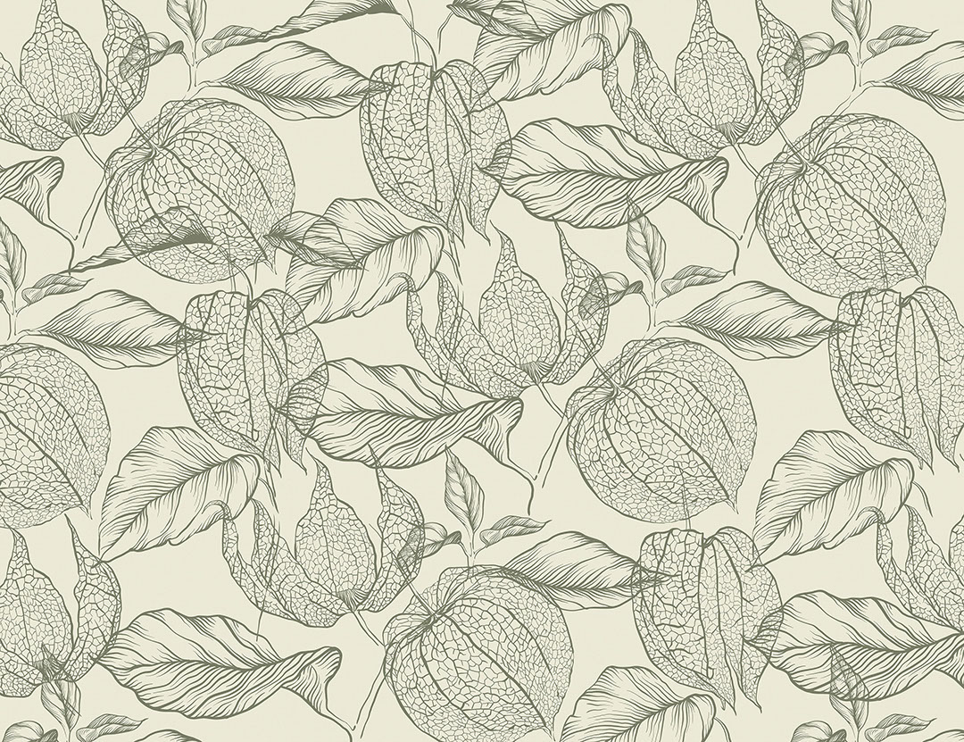 Tender green physalis flowers wallpaper