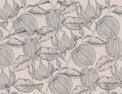 Tender purple physalis flowers wallpaper