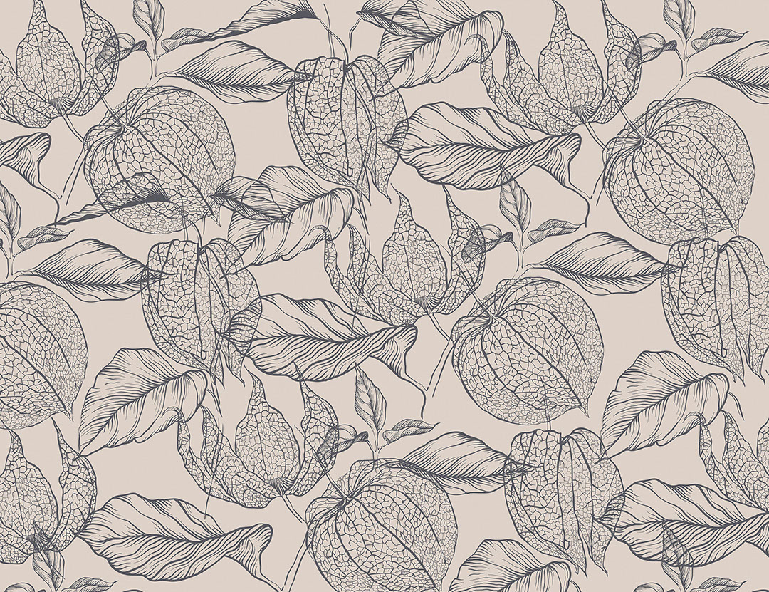 Tender purple physalis flowers wallpaper
