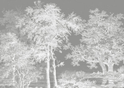 White illustrated forest on the grey sky wall mural