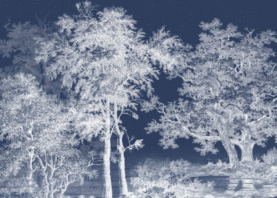 White illustrated forest on the blue sky wall mural