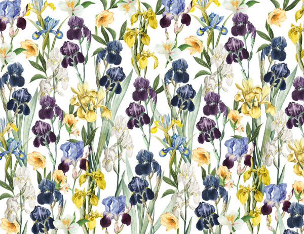 Colourful irises floral patterned wallpaper