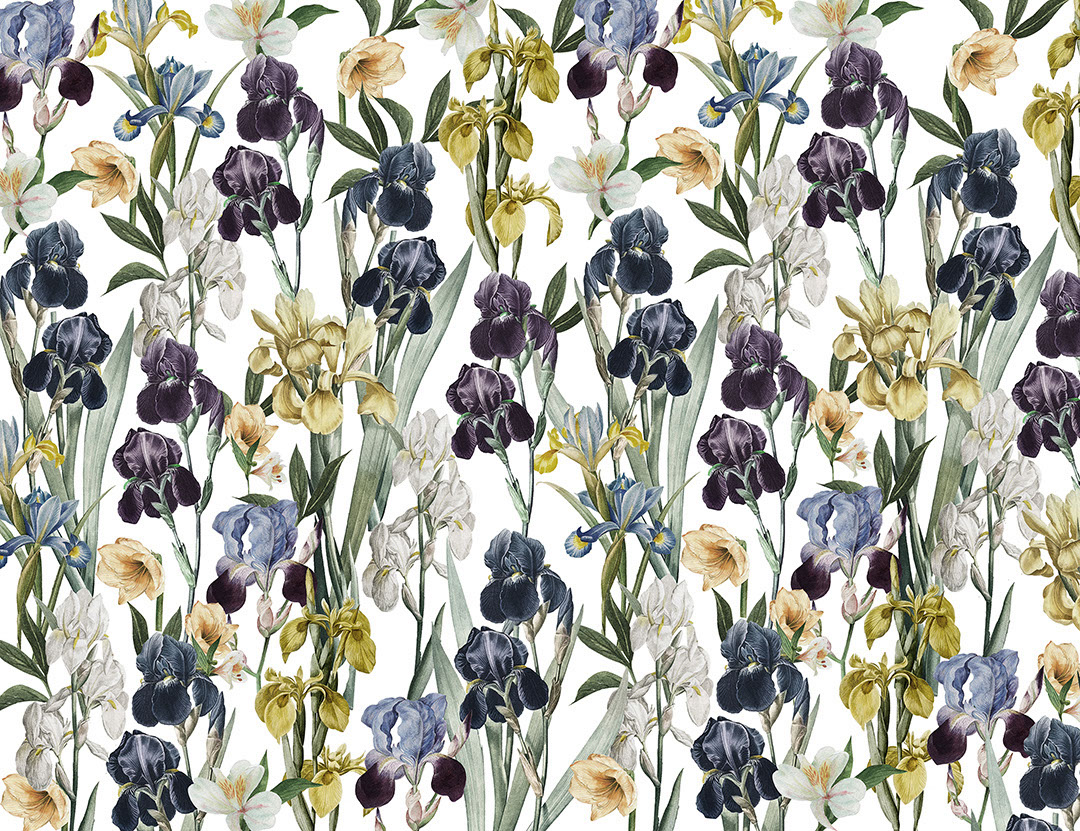 Irises floral patterned wallpaper