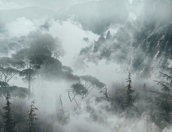 Foggy trees and rocks in grey colours wall mural