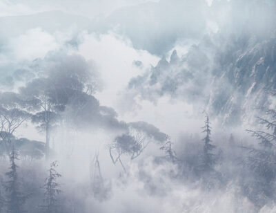 Foggy trees and rocks in blue colours wall mural