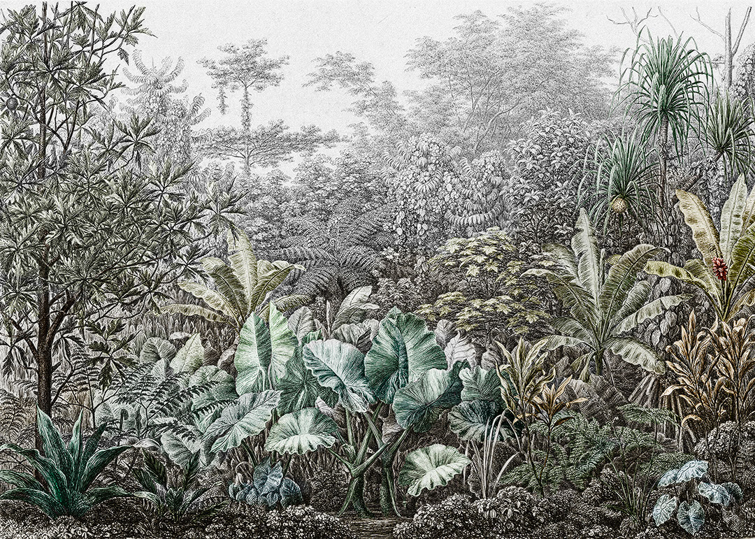 Grunge etching wall mural with tropical leaves and trees