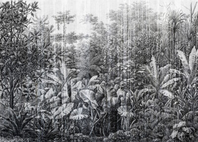 Grunge etching textured wall mural with tropical leaves and trees in black and white
