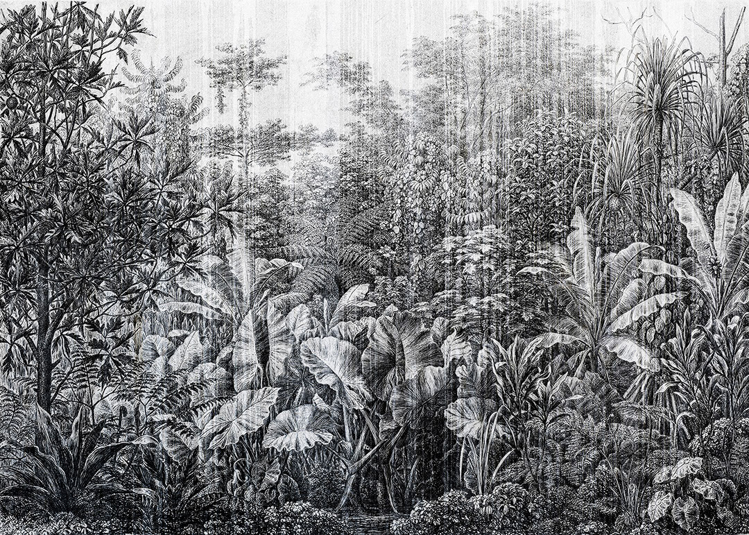 Grunge etching textured wall mural with tropical leaves and trees in black and white