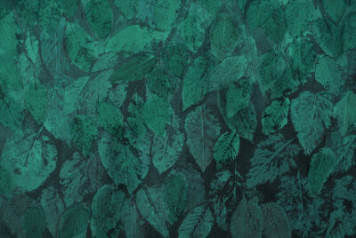 Dark green hand-drawn imprints of leaves wall mural