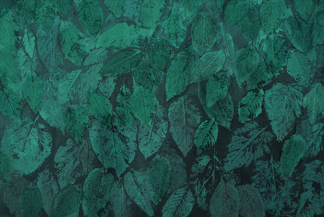 Dark green hand-drawn imprints of leaves wall mural
