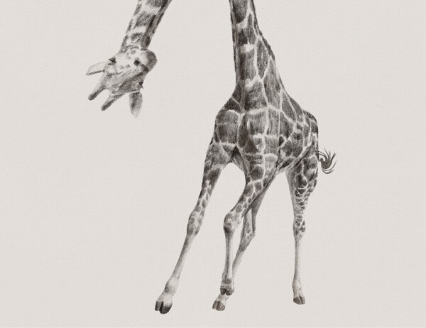 Hand-drawn detailed giraffe kids wall mural in monochrome