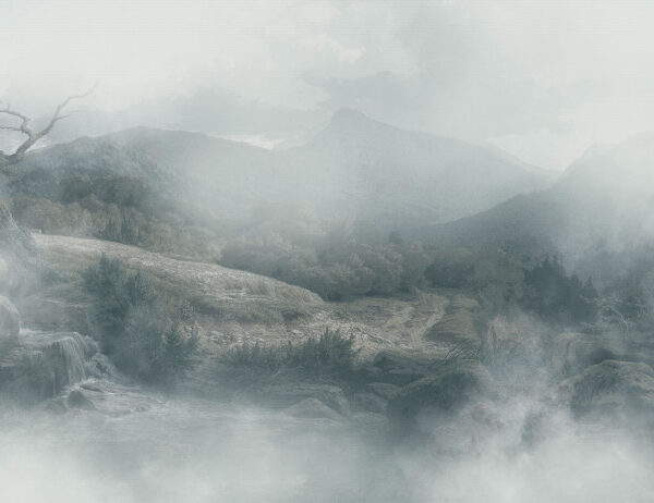 Meadow and mountains in the blue fog wall mural