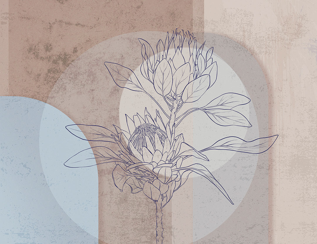 Geometric wall mural with protea flower in brown and blue colors