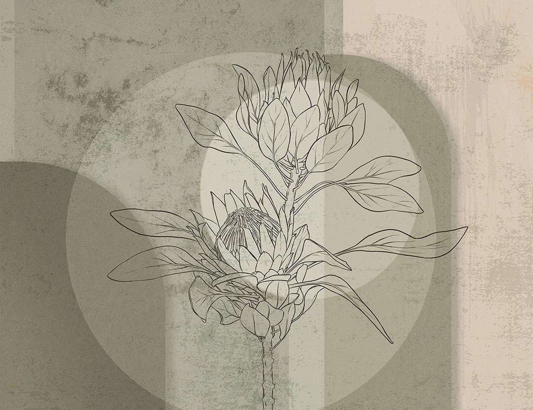Geometric wall mural with protea flower in brown and grey colors
