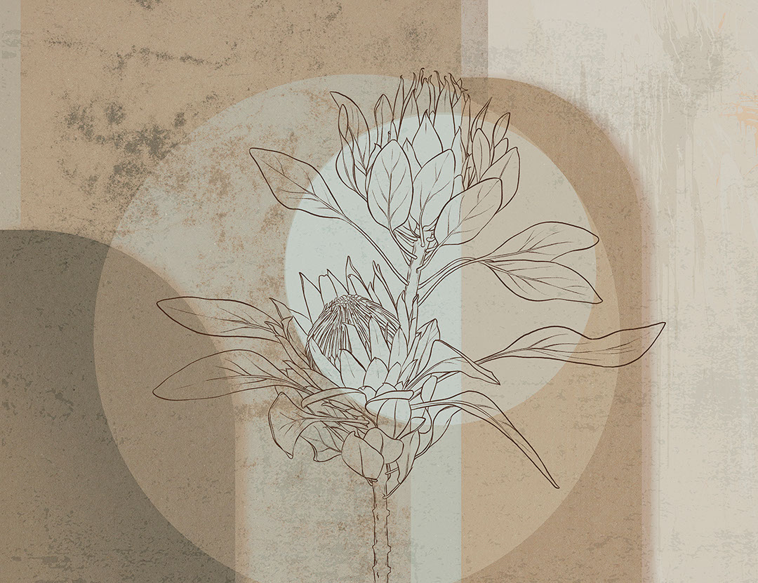 Geometric wall mural with protea flower in brown colors