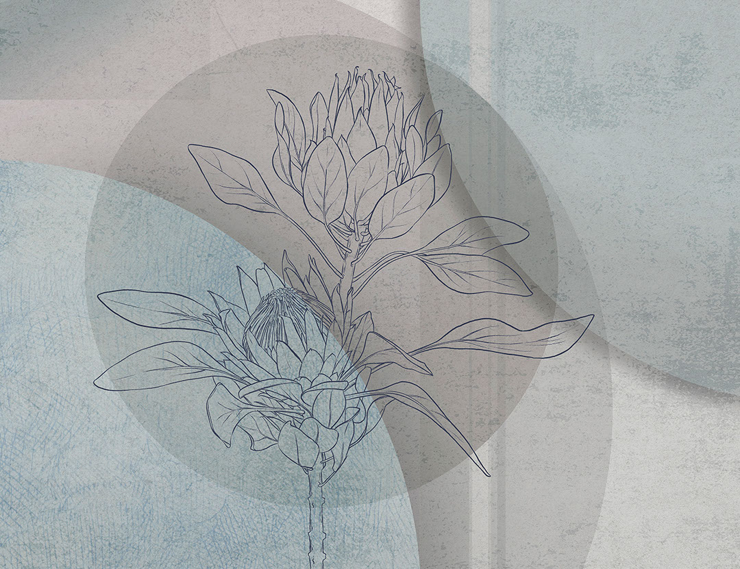 Oversized floral wall mural with protea and pastel geometric background