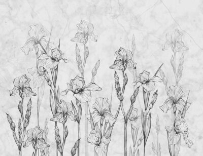 Minimalistic irises and grey marble wall mural