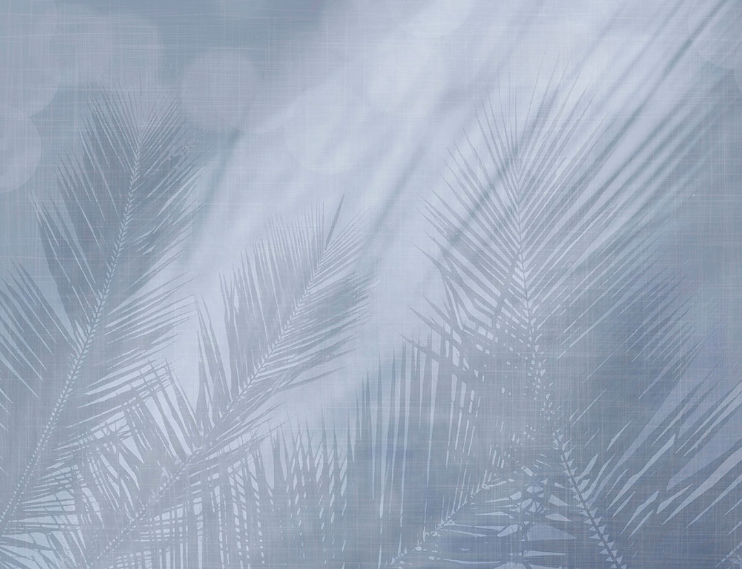 Wall mural with shadows of tropical leaves in blue colors
