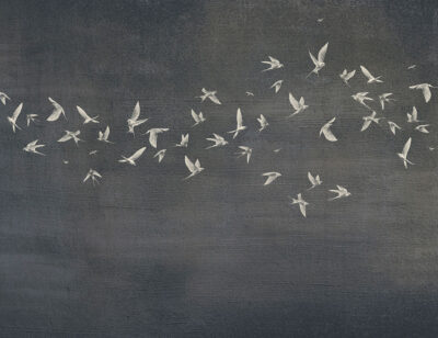 Delicate birds on a dark textured background wall mural