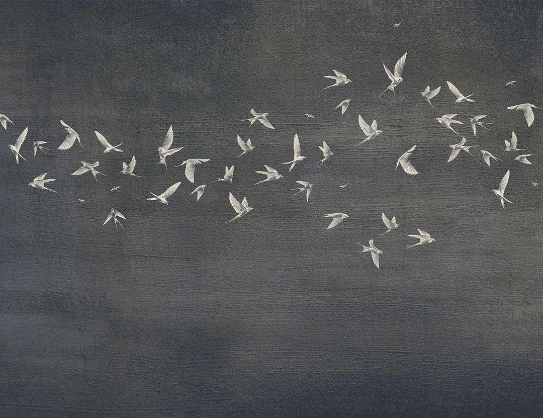 Delicate birds on a dark textured background wall mural