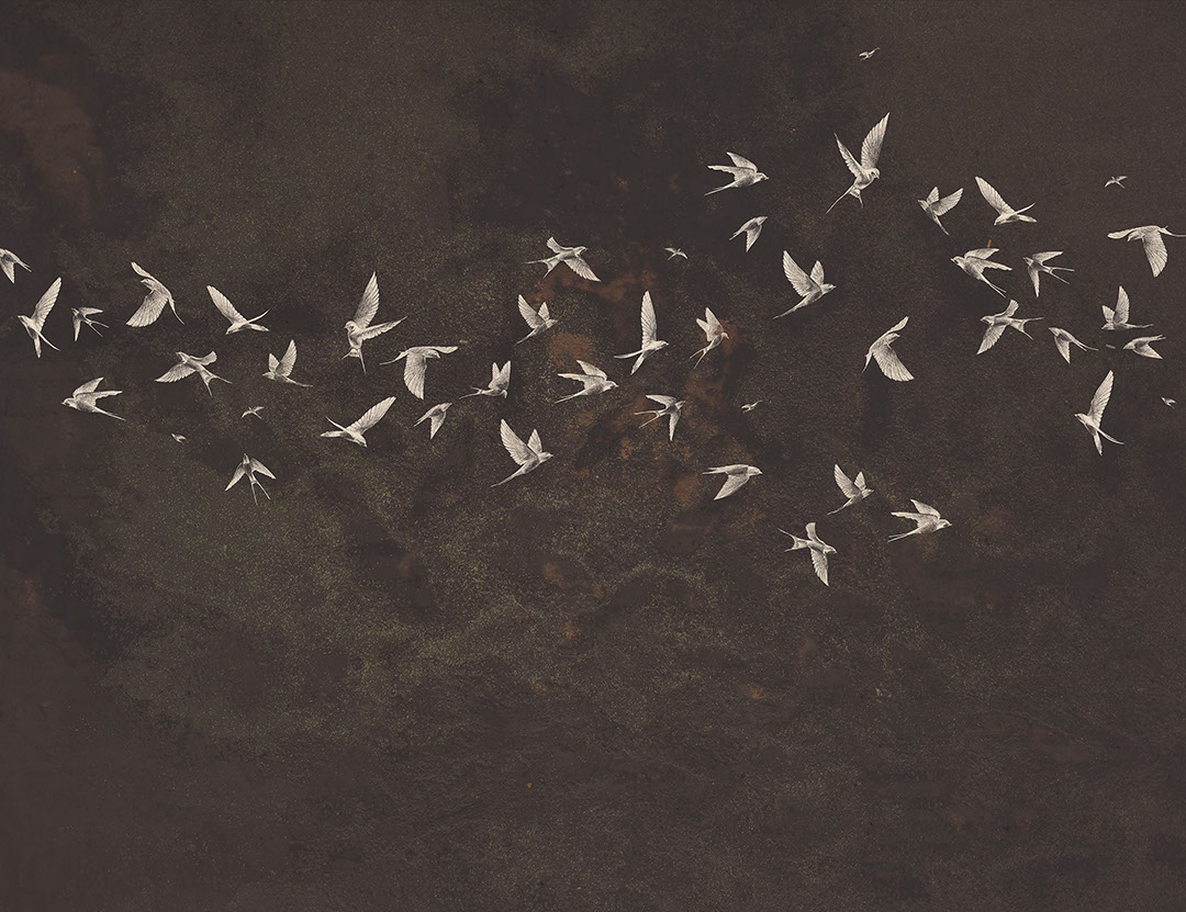 Delicate birds on a brown textured background wall mural