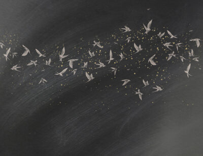 Delicate birds on a dark starry background wall mural
