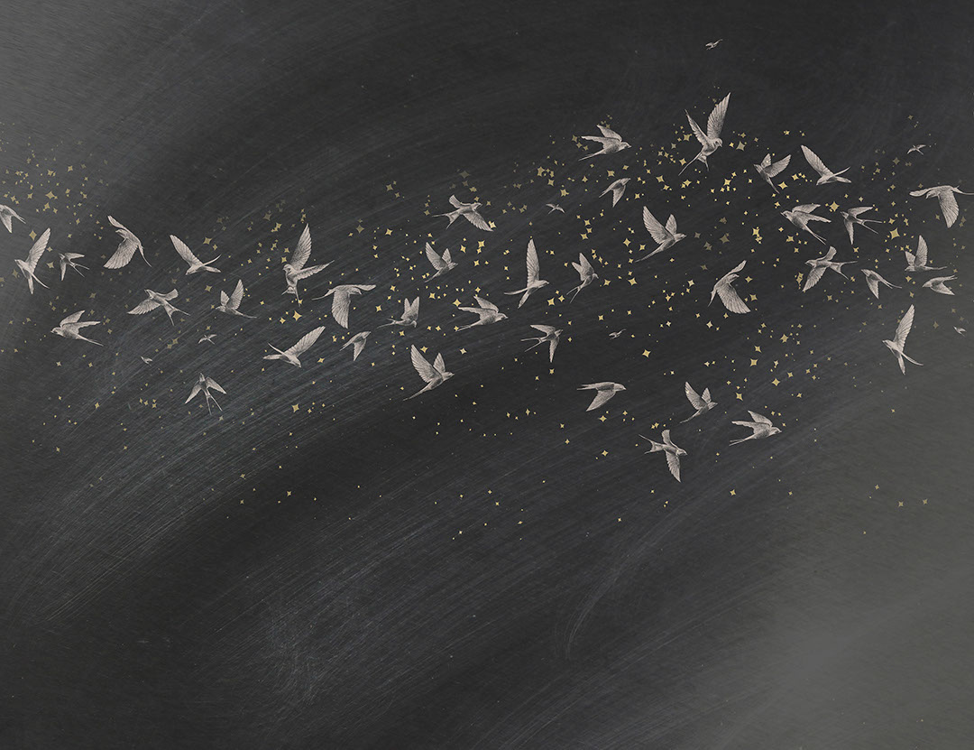 Delicate birds on a dark starry background wall mural
