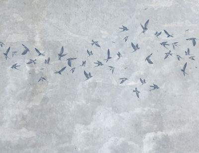 Delicate birds on a grey textured sky wall mural