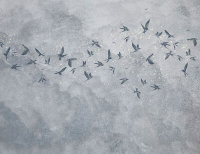 Delicate birds on a grey starry sky wall mural
