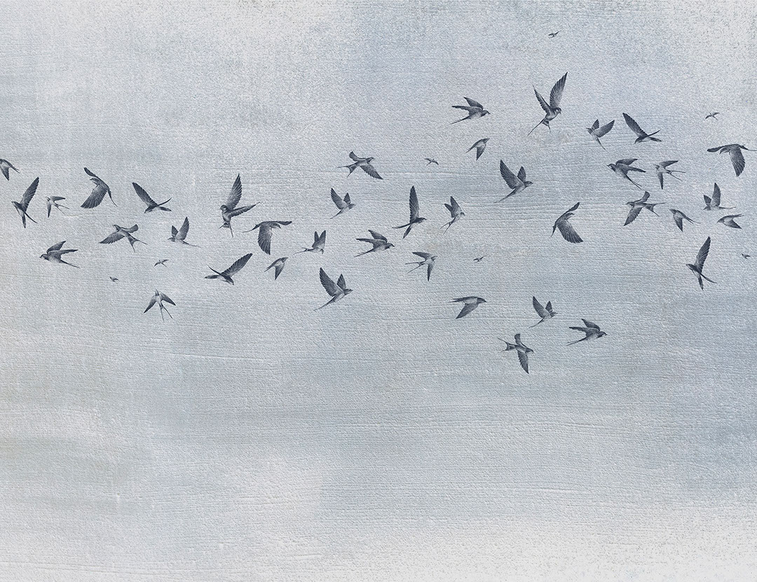 Delicate birds on a blue textured background wall mural